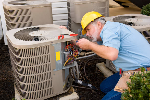 Best HVAC air duct cleaning  in Blue Ridge, GA